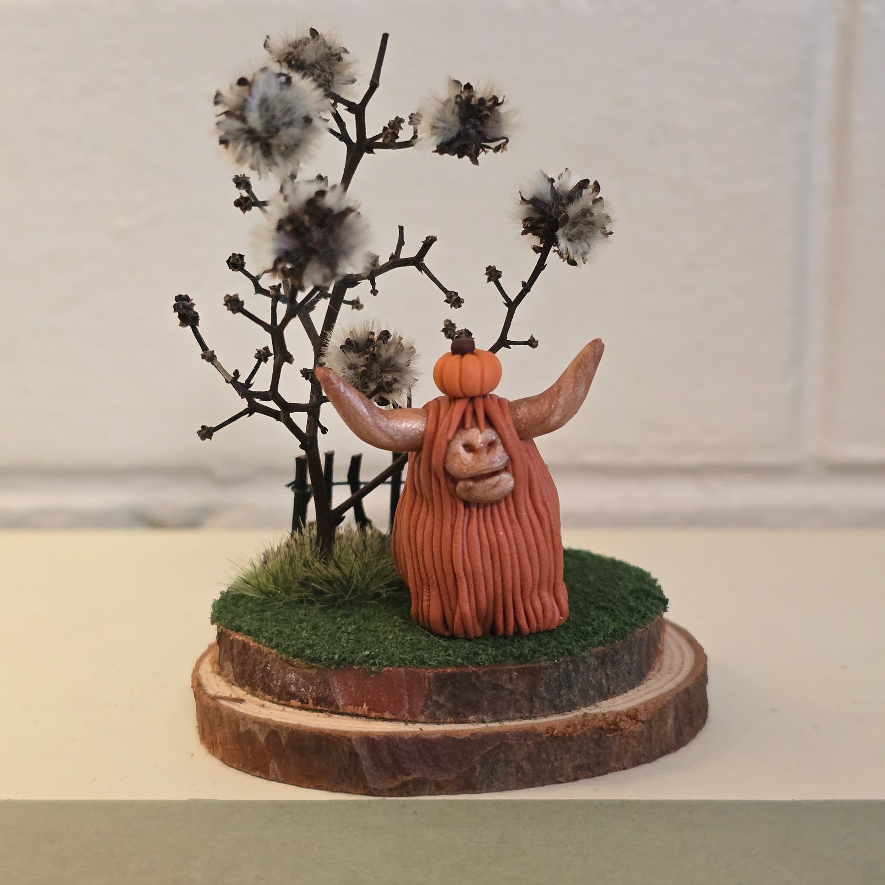 Highland Cow - Bonnie