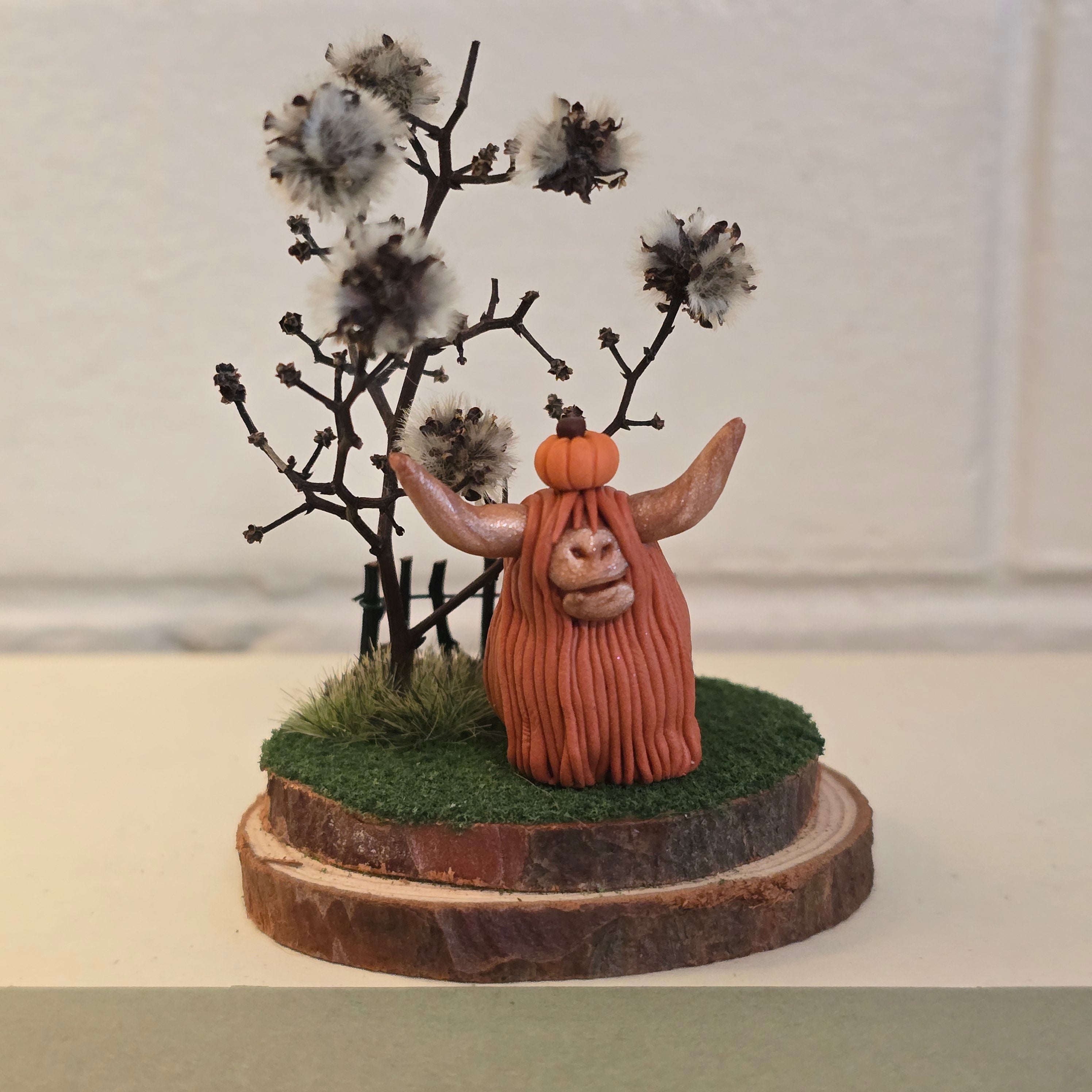 Highland Cow - Bonnie