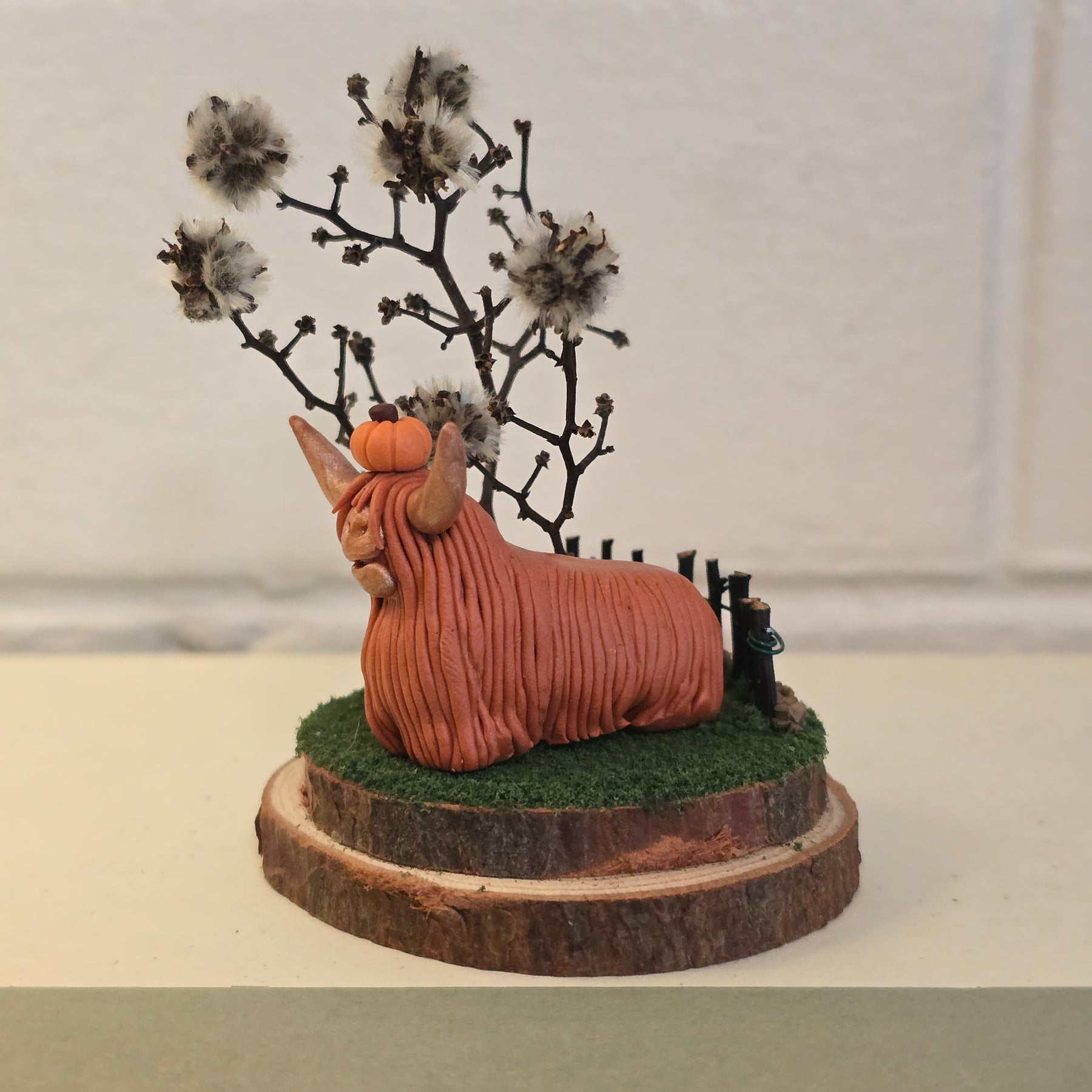 Highland Cow - Bonnie