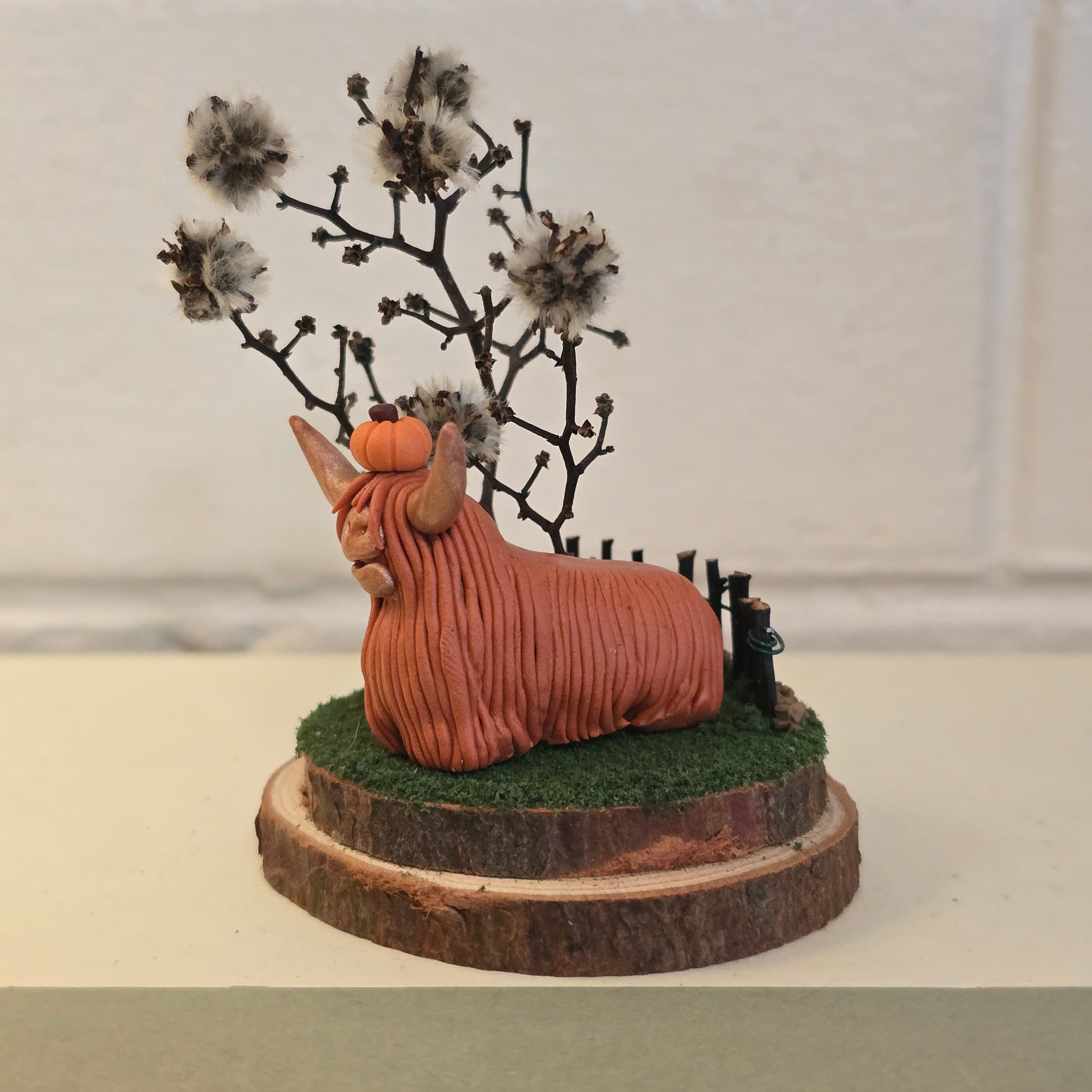 Highland Cow - Bonnie