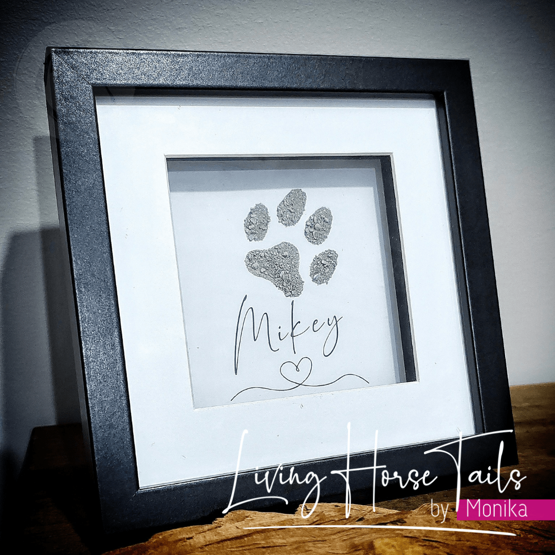 Shadow Box Pet Memorial Keepsake with ashes