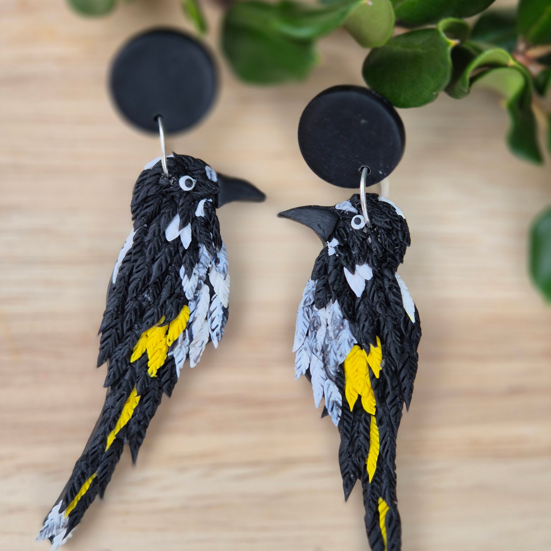 New Holland Honeyeater Earrings