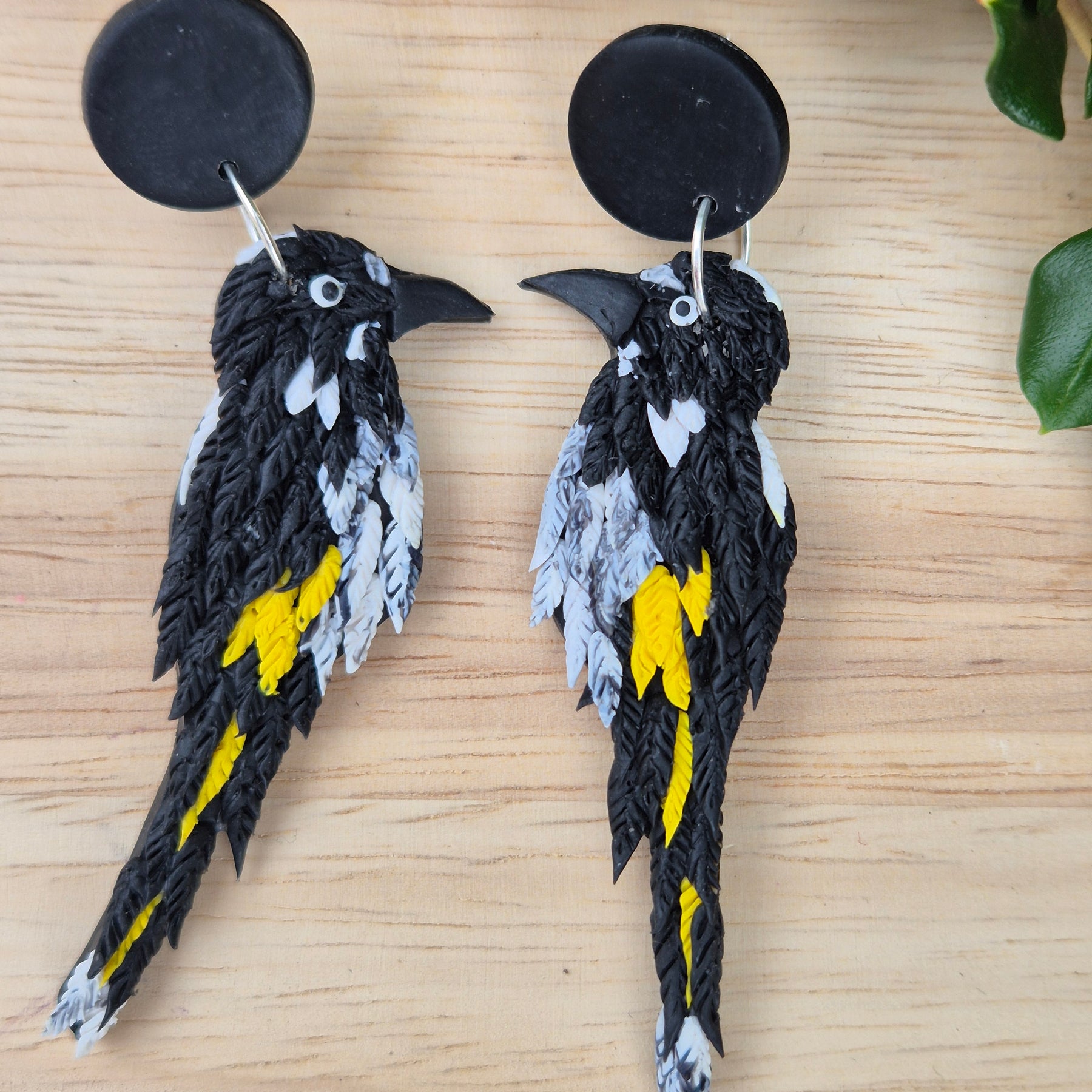 New Holland Honeyeater Earrings