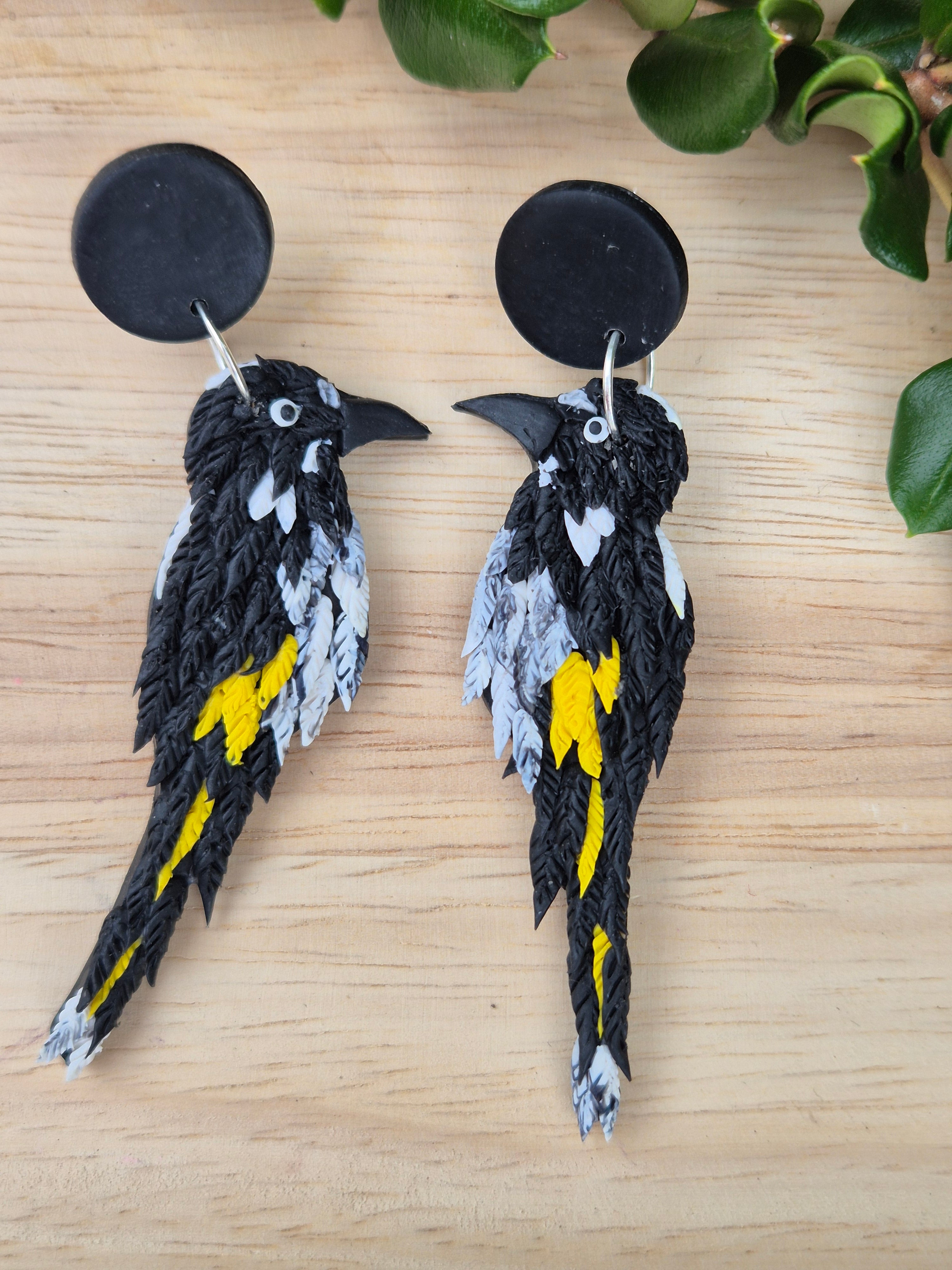 New Holland Honeyeater Earrings