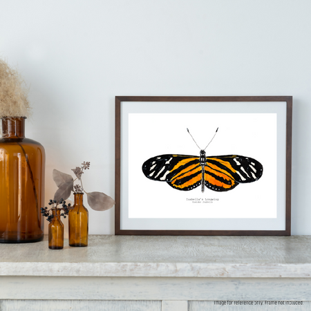 Watercolour Art Print - The Insect Series - 'Isabella's Longwing Butterfly'