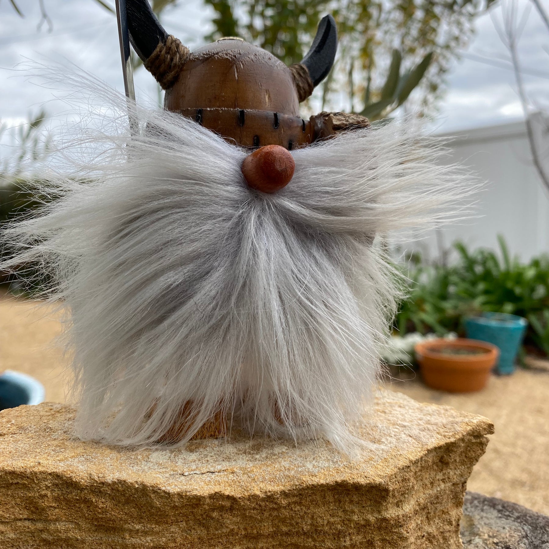 Wild Grey Beard Viking