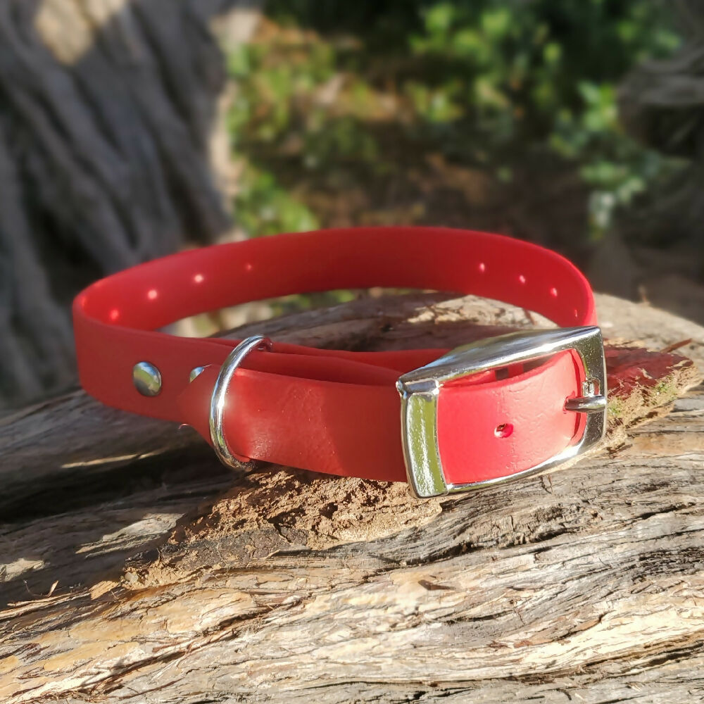 Waterproof dog collar - Bright Colours