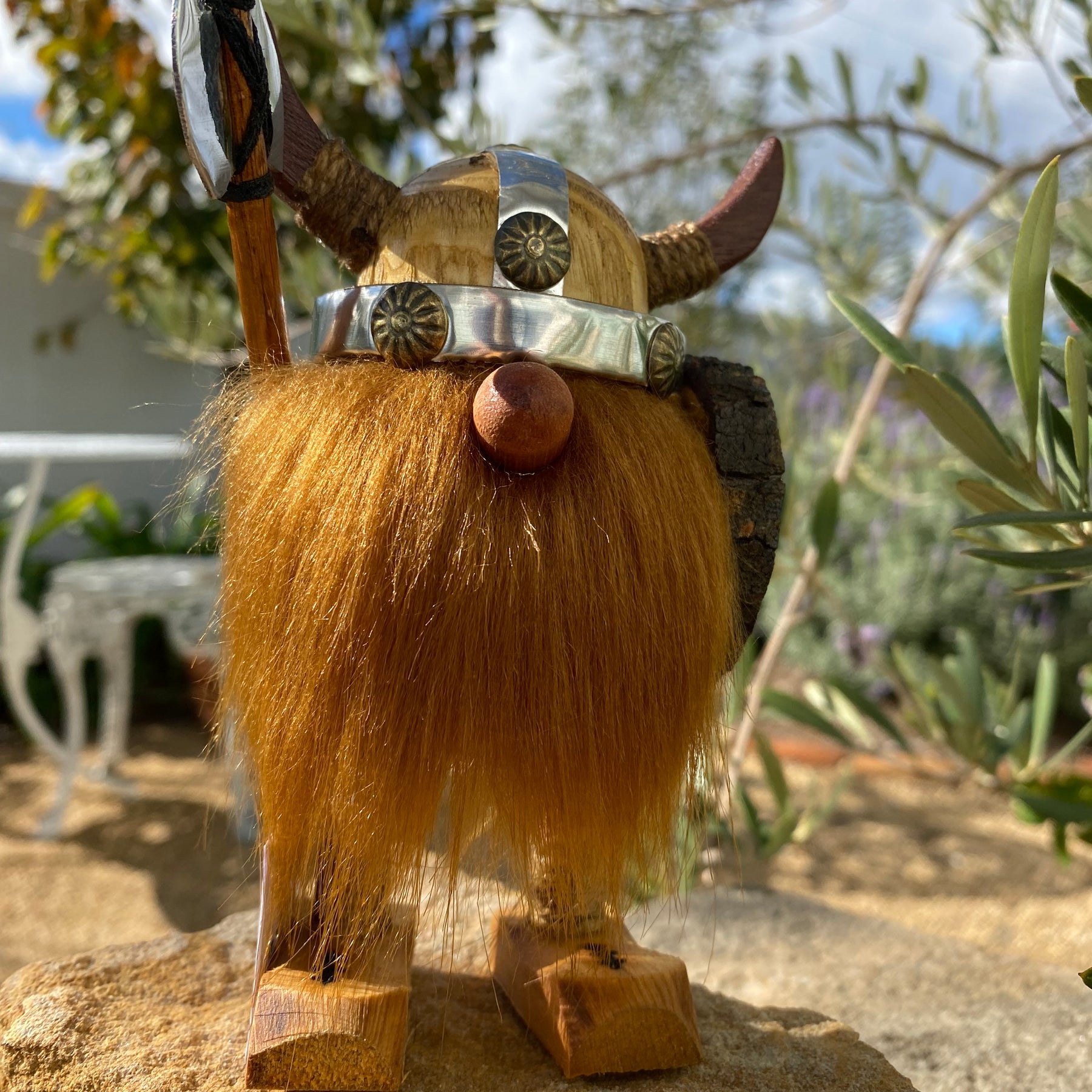 Collector Edition Vikings