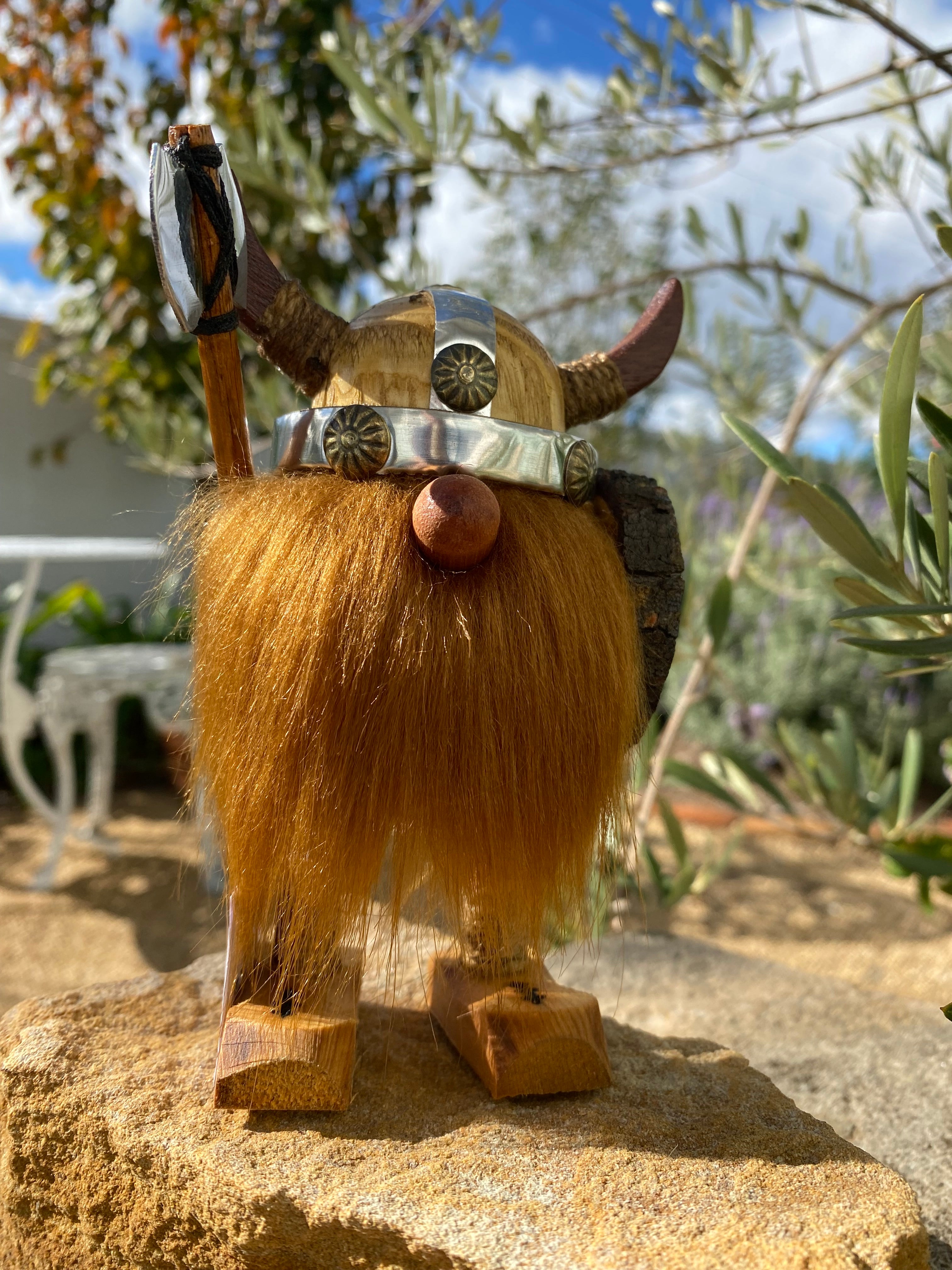 Collector Edition Vikings