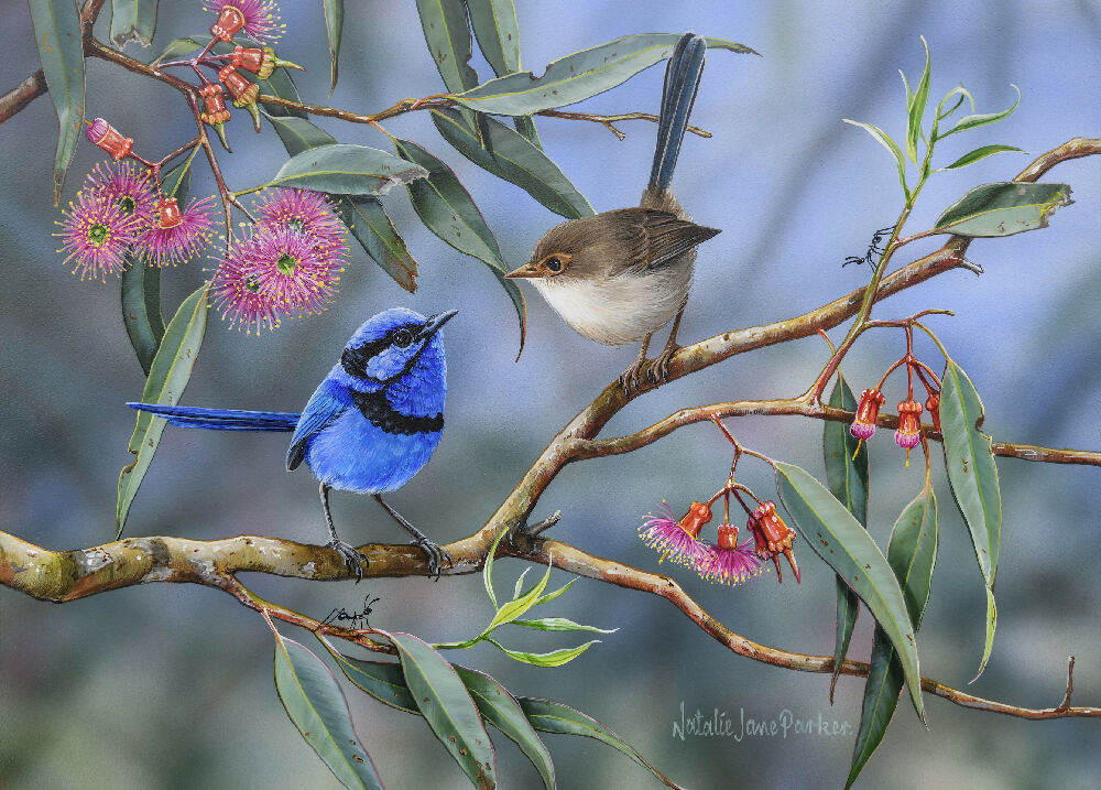 Coral Gum Attraction_70x50cm_puzzle