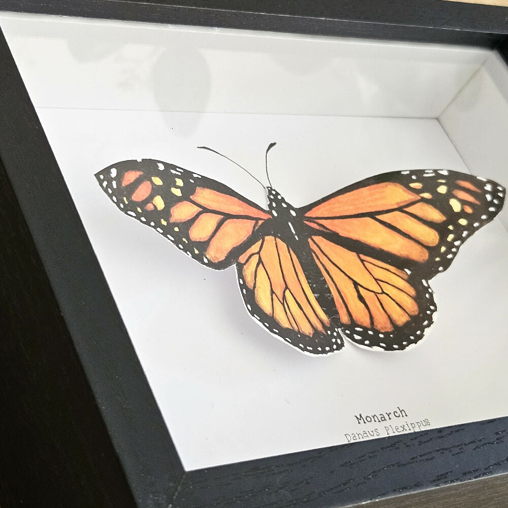 Faux Taxidermy Shadow Box Art - 'Monarch Butterfly'