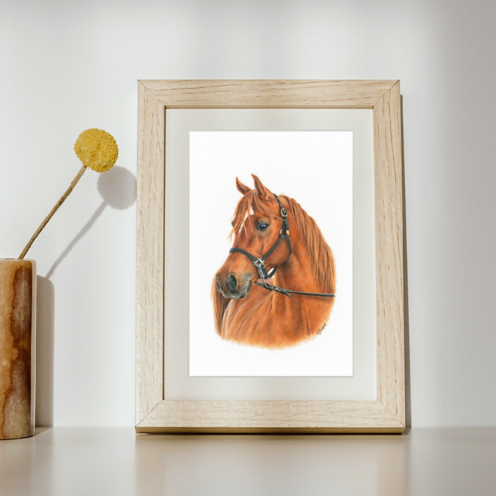 Wall Art Arabian Horse A4 Print