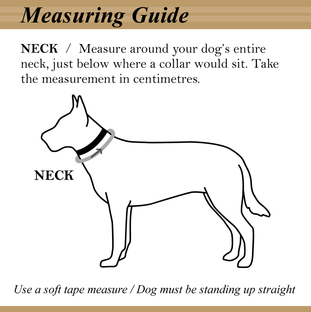 CHRISTMAS Tasmanian Devil Bandana