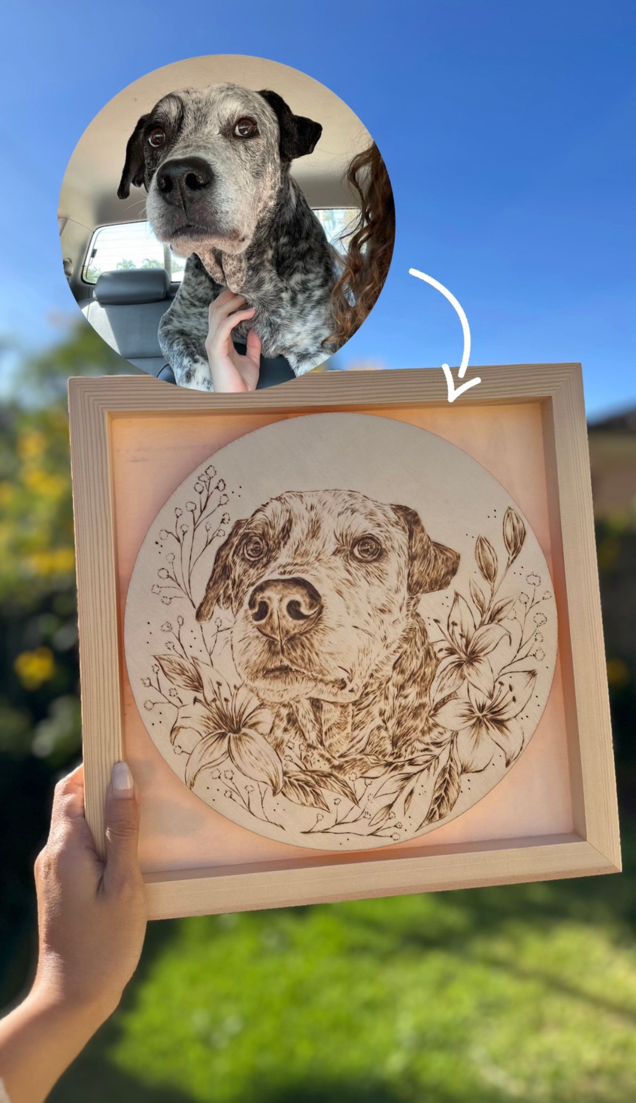 Custom Pet Portrait on Plywood – 30x30 cm Framed Handmade Pyrography Woodburning Art