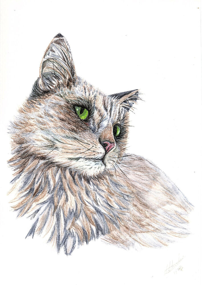 Pet Portrait A5 Colour pencil/pastels