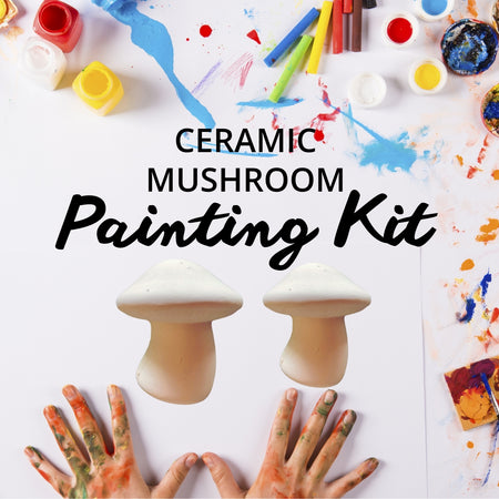 Kids Ceramic Mushroom Painting Kit
