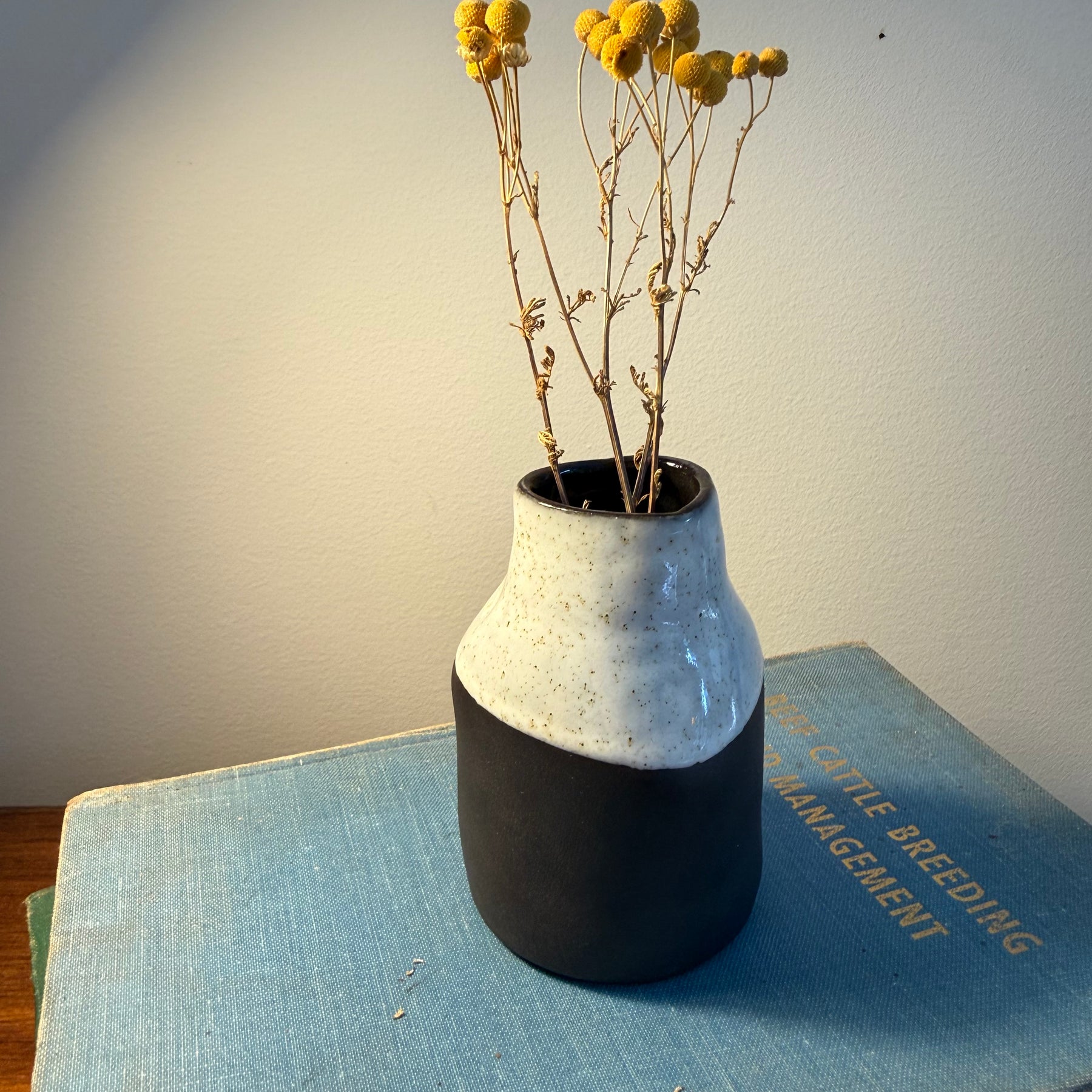 Soft Shift Vase