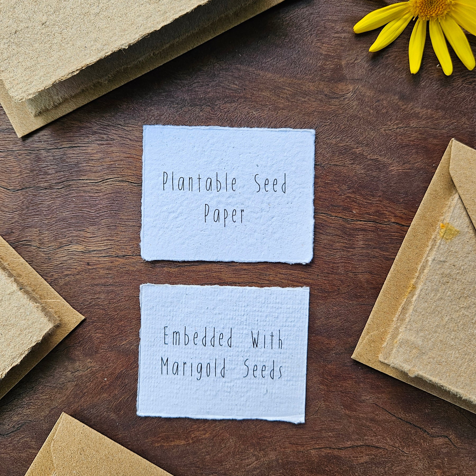 Seeded Plantable handmade paper gift cards- set of 4