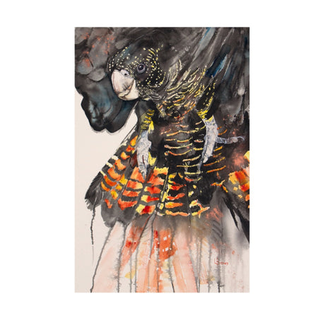 Black Cockatoo A3 Fine Art Print