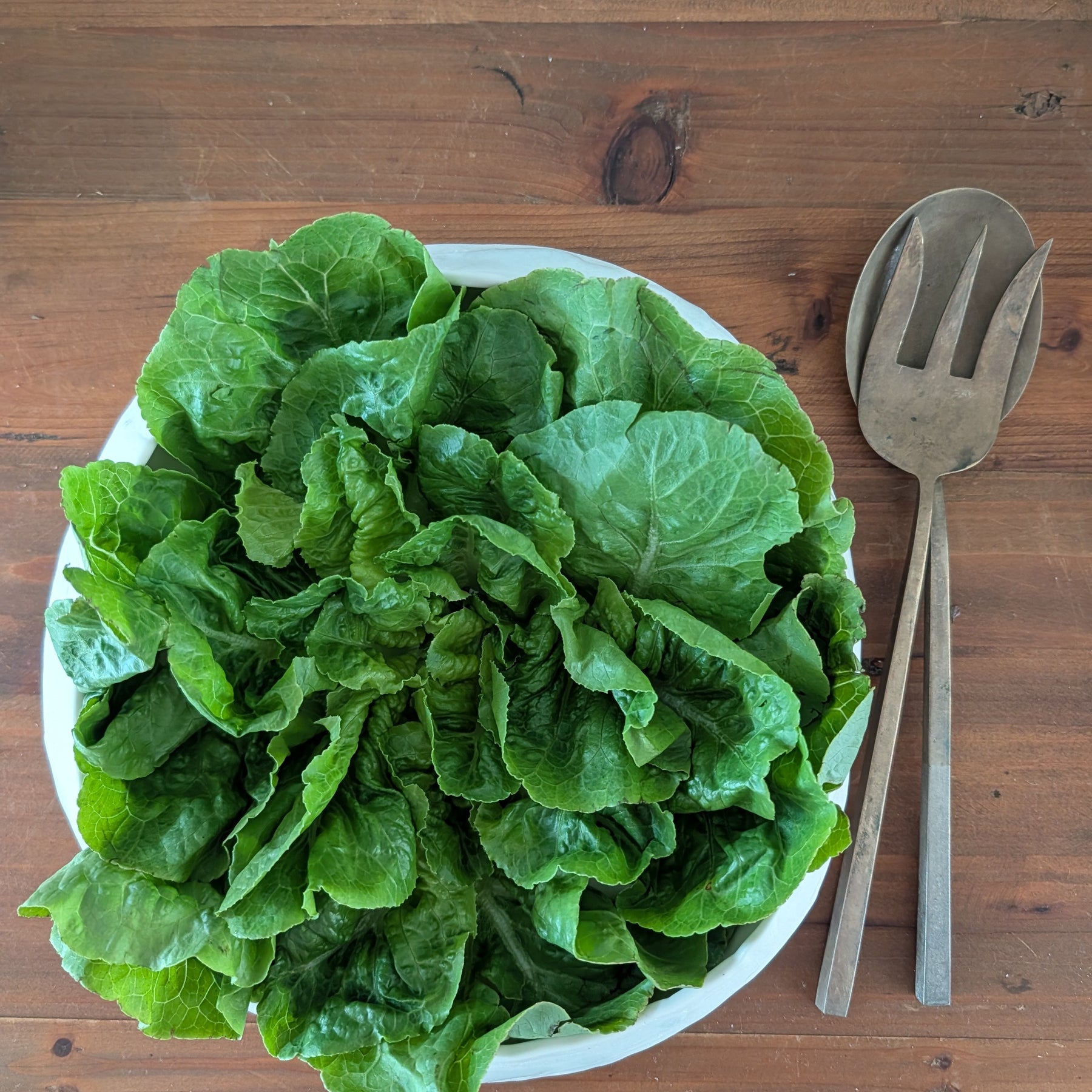 White Porcelain Serving Bowl | function • comfort • handformed