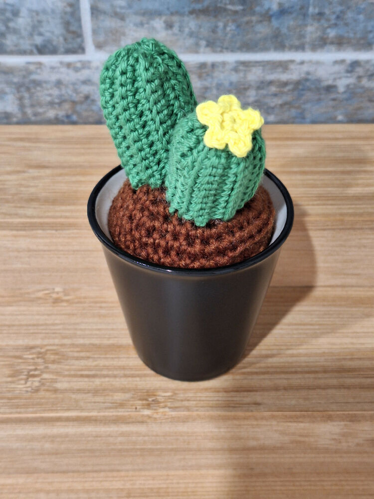 crocheted succulents room decoration