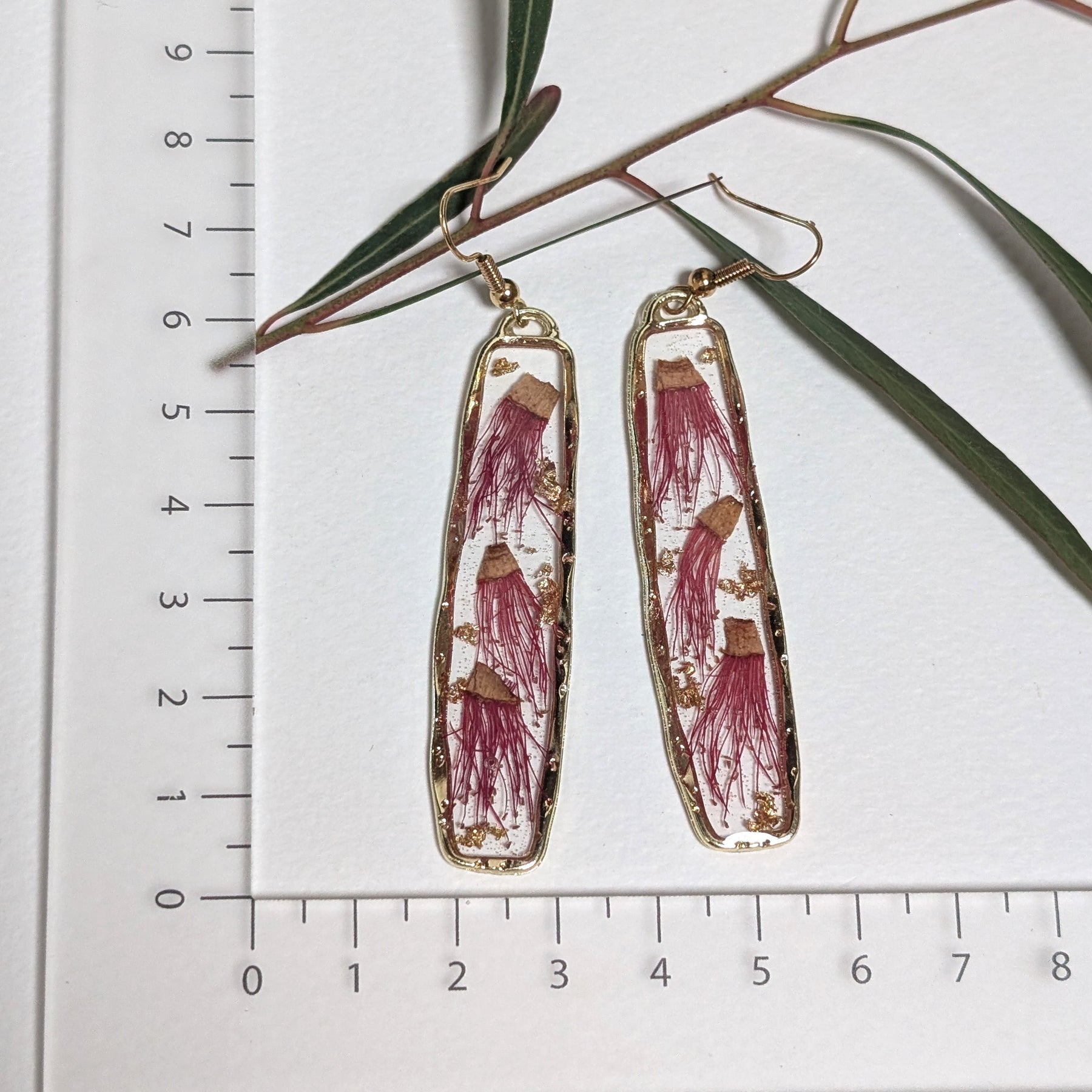 Australian flowering gum earrings