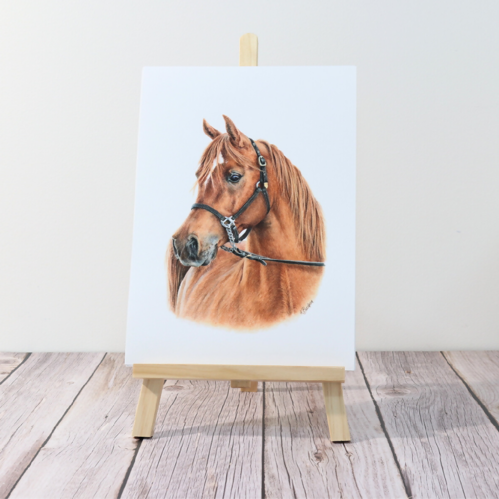 Wall Art Arabian Horse A4 Print