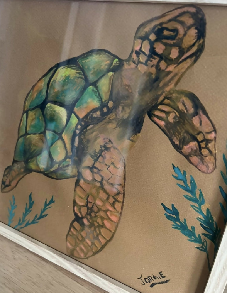 watercolor study of a sea turtle , framed