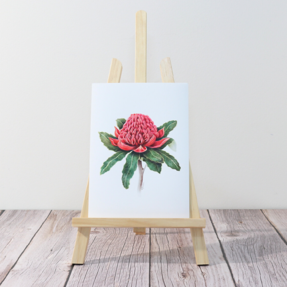 Australian-artist-wall-art-waratah-print