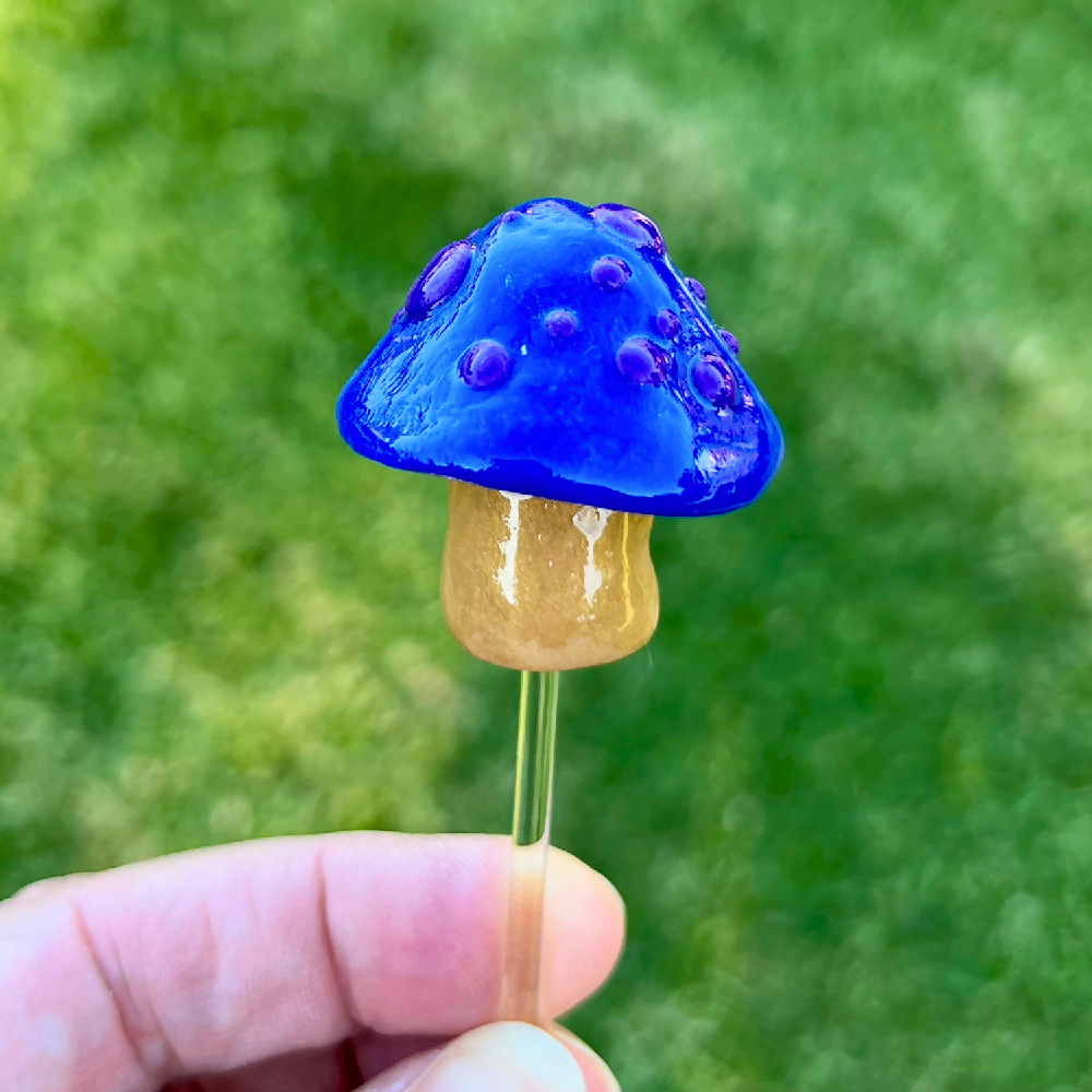 Egil-Kelby-gnomes-toadstool