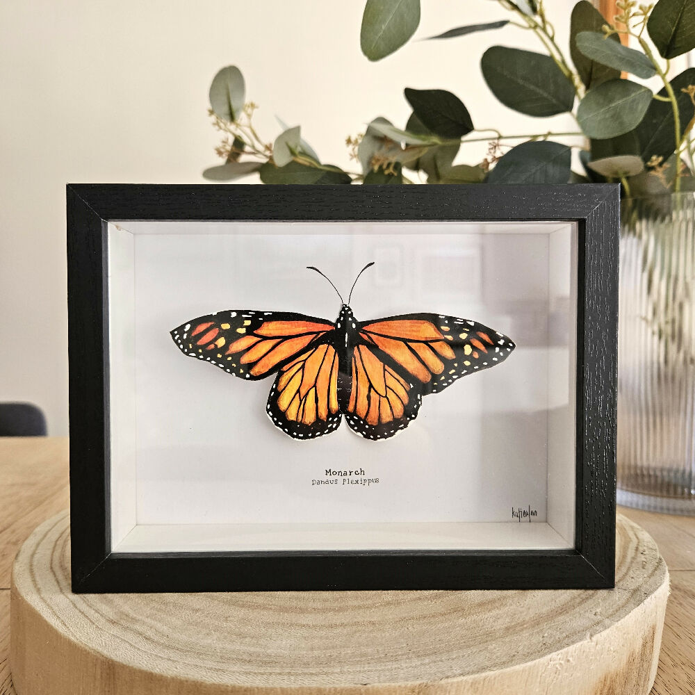 Faux Taxidermy Shadow Box Art - 'Monarch Butterfly'