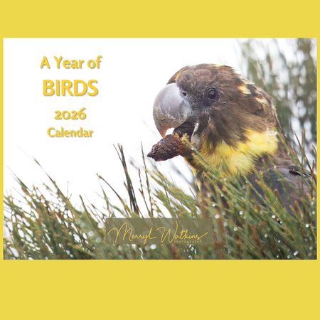 A Year of Birds 2026 - A4 Photographic Calendar NOW DISCOUNTED!!!