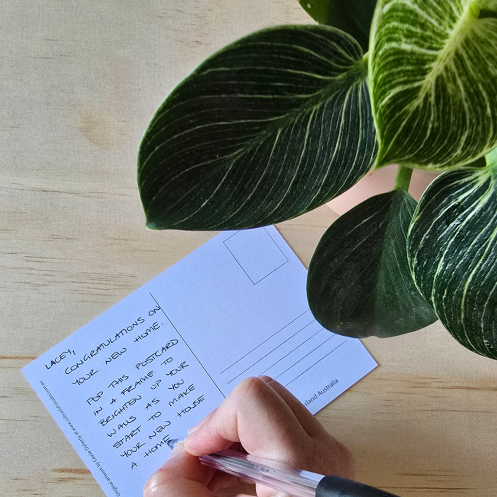 Postcard - Butcher Bird