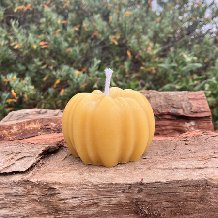 Pumpkin Shaped Beeswax Candle Honey Scent