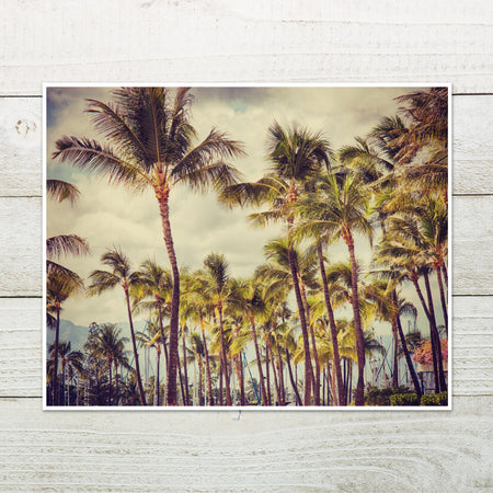 Vintage Inspired Palm Tree Wall Art Photo Print