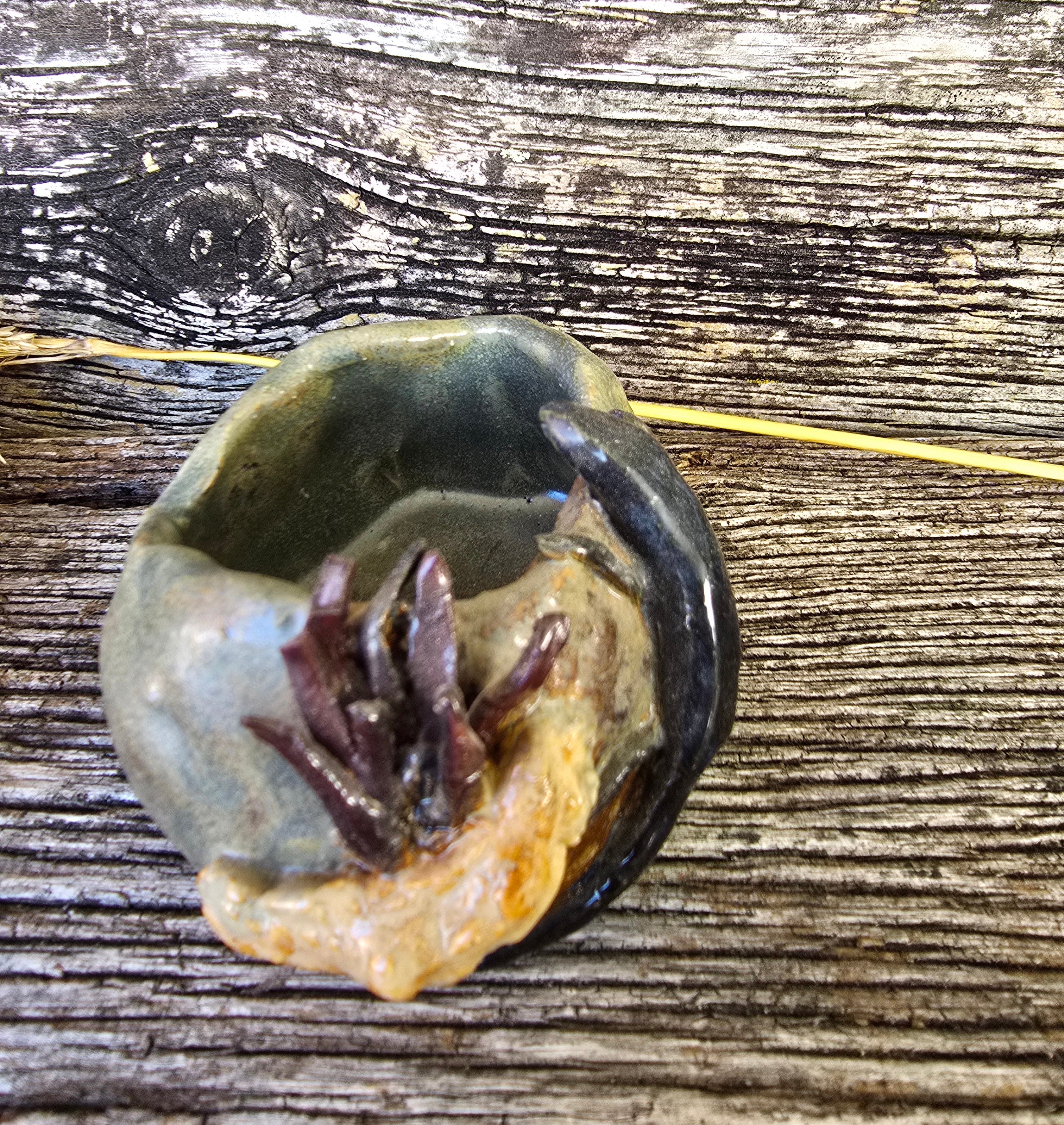 Lizard on a rock trinket dish