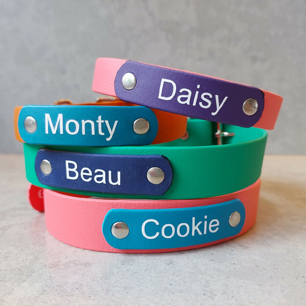 Personalised Waterproof Dog Collar - Bright Colours