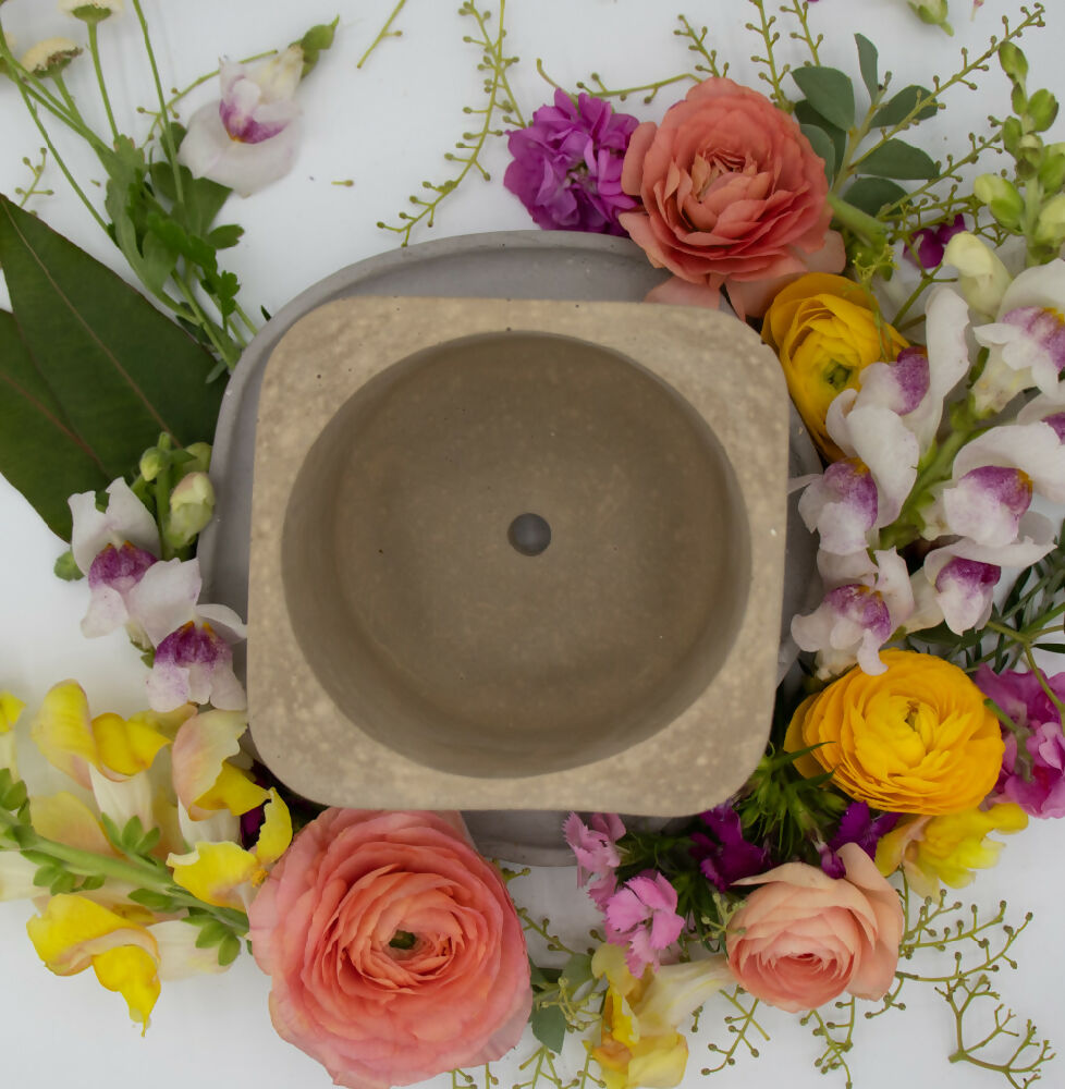 Earth Tones Concrete Pot