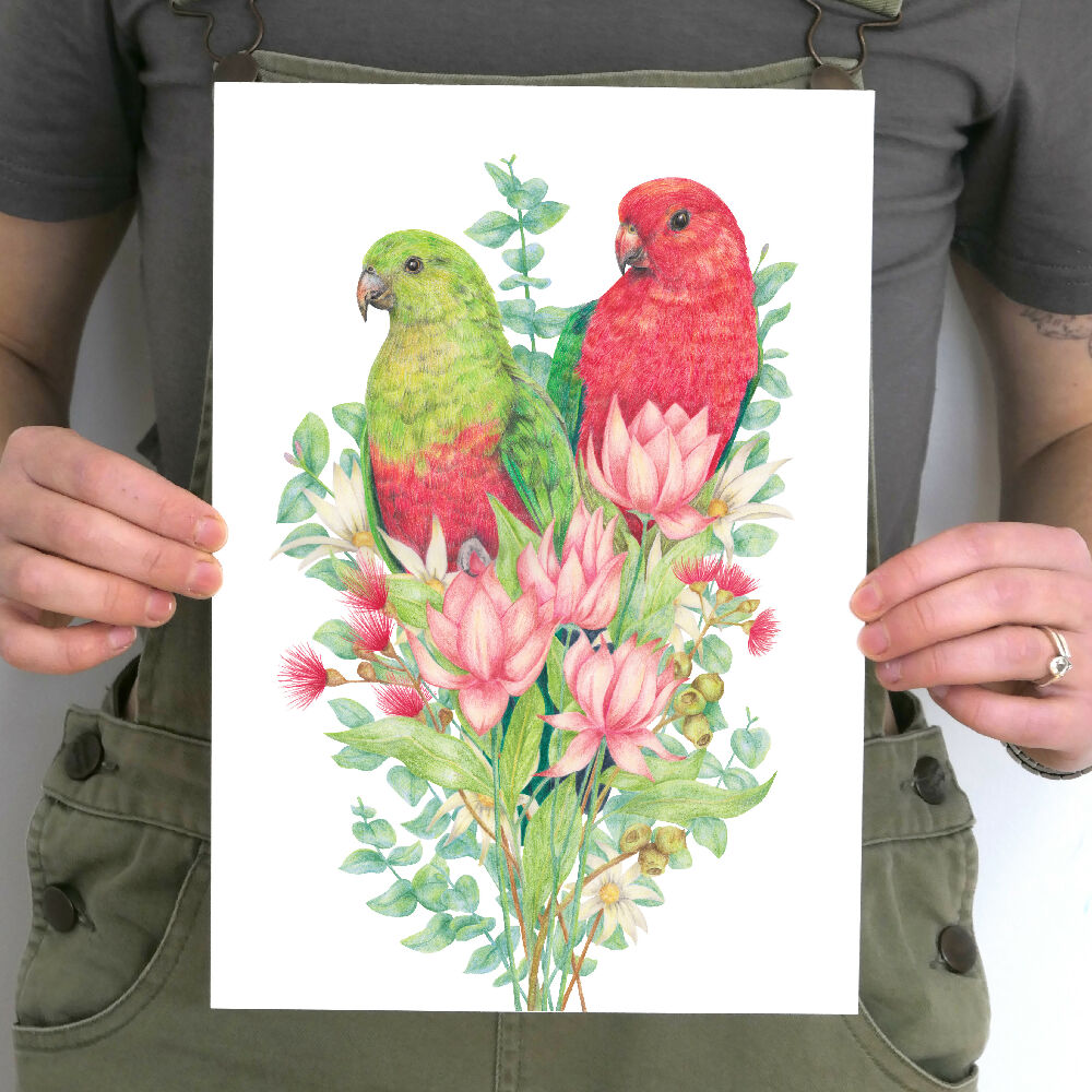 A4 art print of Australian King Parrots, by Australian artist Kayla Reay.