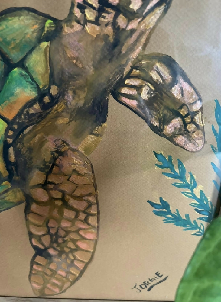 watercolor study of a sea turtle , framed