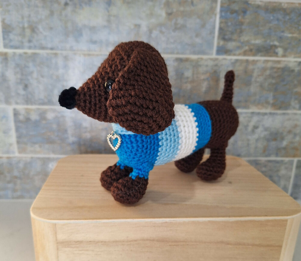 dachshund in blue jacket
