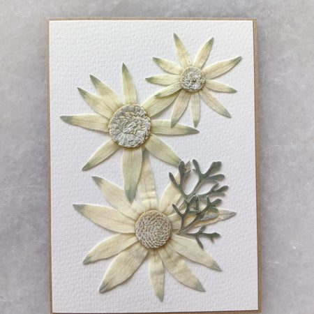 Flannel Flare | Pressed Flower Handmade Card
