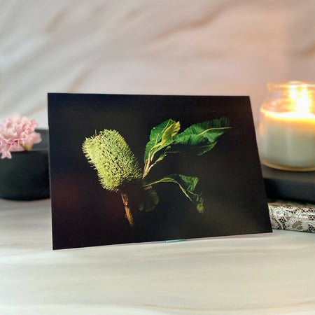 Australian Native Floral Birthday Card – Banksia Integrifolia