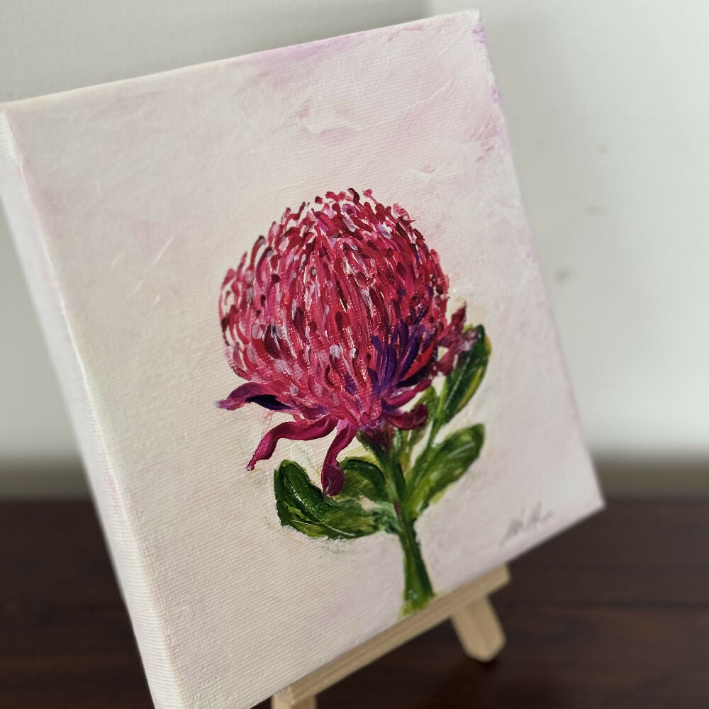 December Birthflower - Waratah