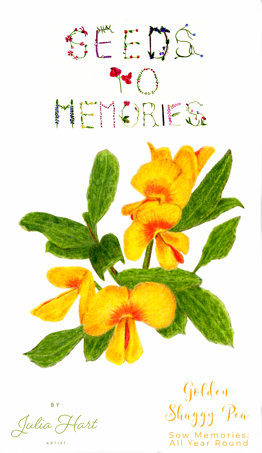 Tasmanian Native Seeds