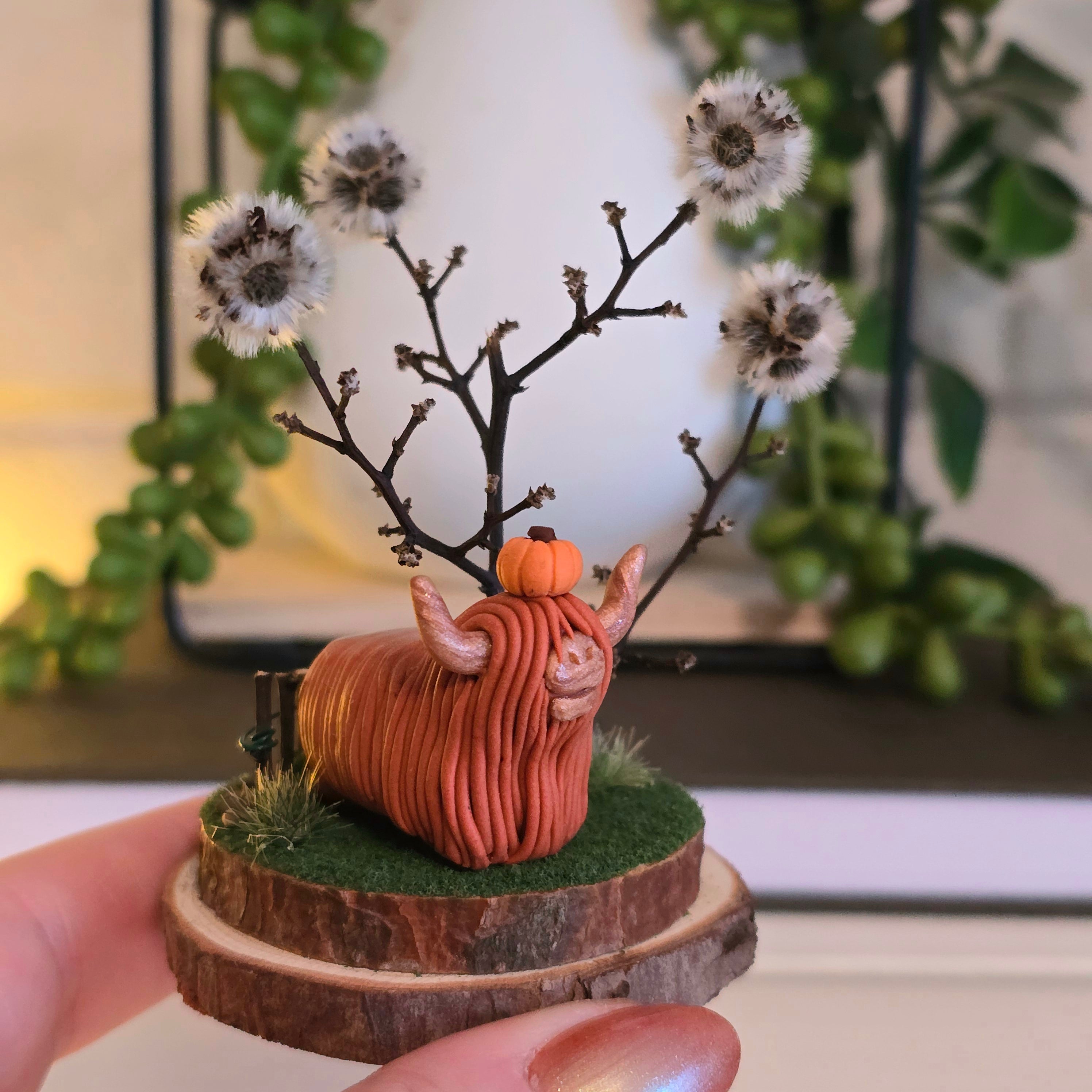 Highland Cow - Charlotte