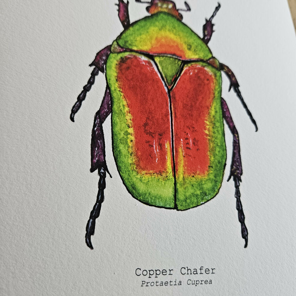 art print - the fauna series - copper chafer