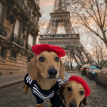 French Beret/hat for Dog, Puppy or cat or Kitten, Handmade Pet clothing/costume