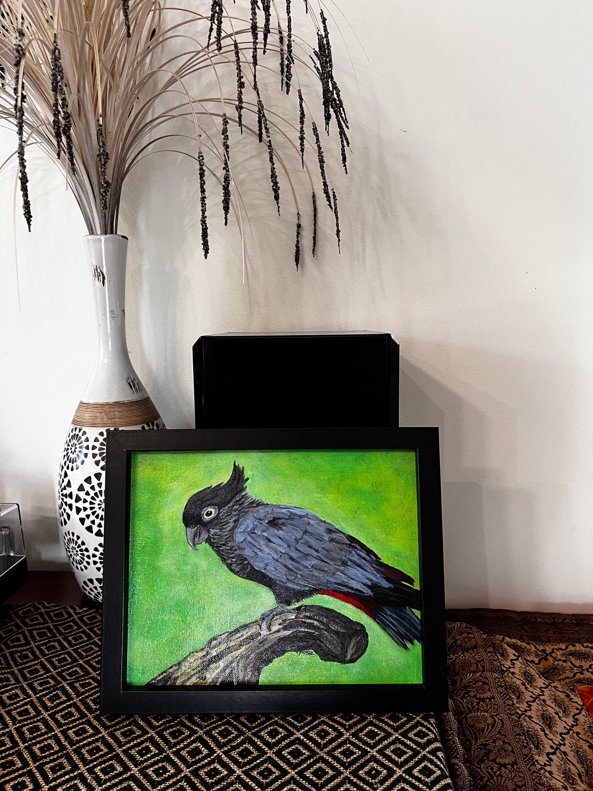 Black Cockatoo
