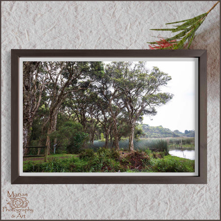 Photographic print | Wall Art | Serenity